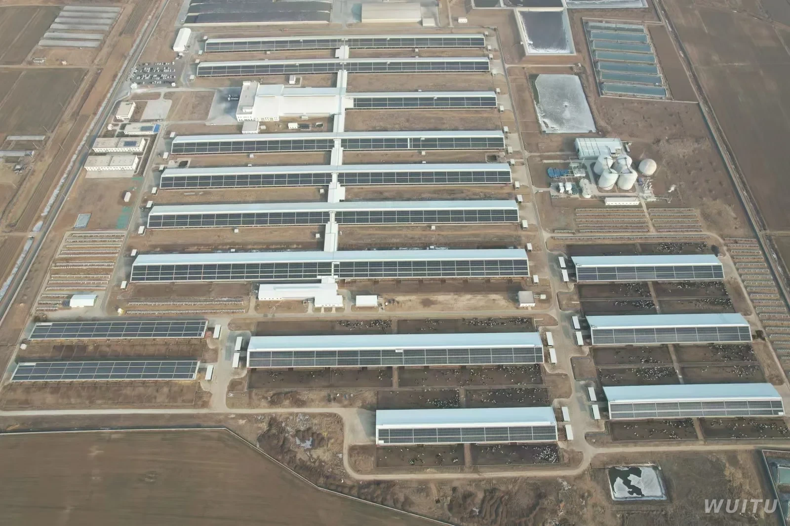 Rooftop solar array on a dairy barn